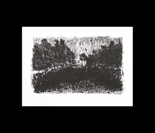 E4_Grégoire HESPEL, Maison, 2008